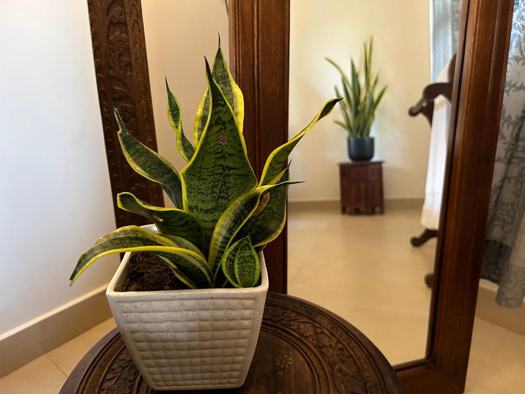 Santa Maria, Trivandrum - An Airport Boutique By The Sea Bed & Breakfast Thiruvananthapuram Luaran gambar