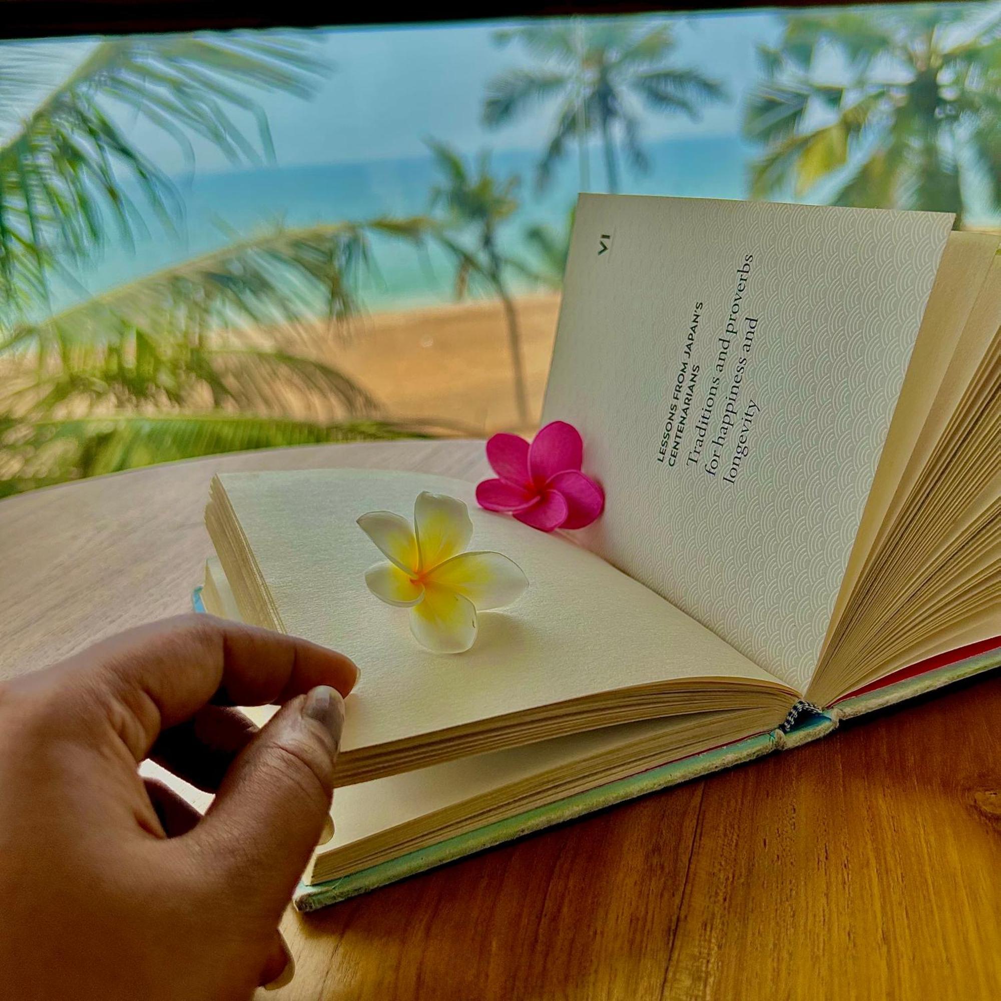 Santa Maria, Trivandrum - An Airport Boutique By The Sea Bed & Breakfast Thiruvananthapuram Luaran gambar