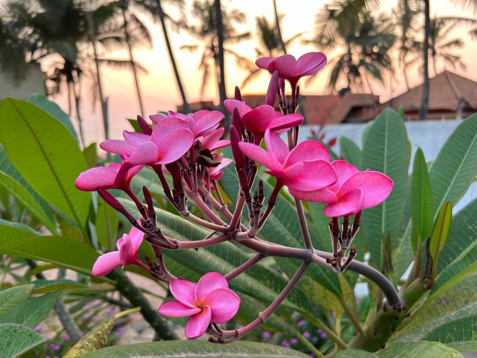 Santa Maria, Trivandrum - An Airport Boutique By The Sea Bed & Breakfast Thiruvananthapuram Luaran gambar